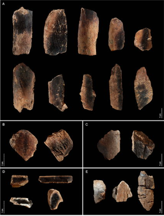 이번 연구에서 분석한 그을린 뼈 일부 ⓒ데일리포스트=이미지 제공/Tel Aviv University