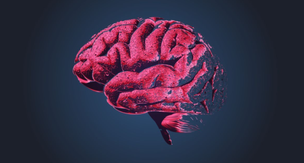 ⓒ데일리포스트=이미지 제공/Pixabay