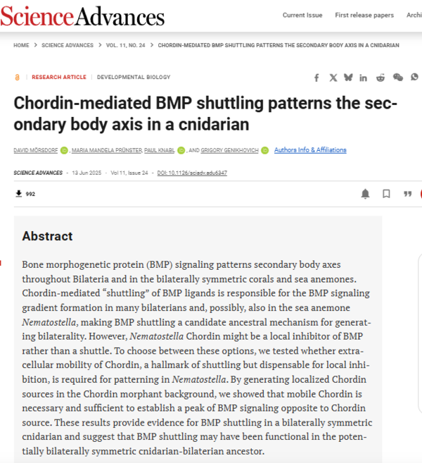 ⓒ데일리포스트=이미지 제공/Science Advances