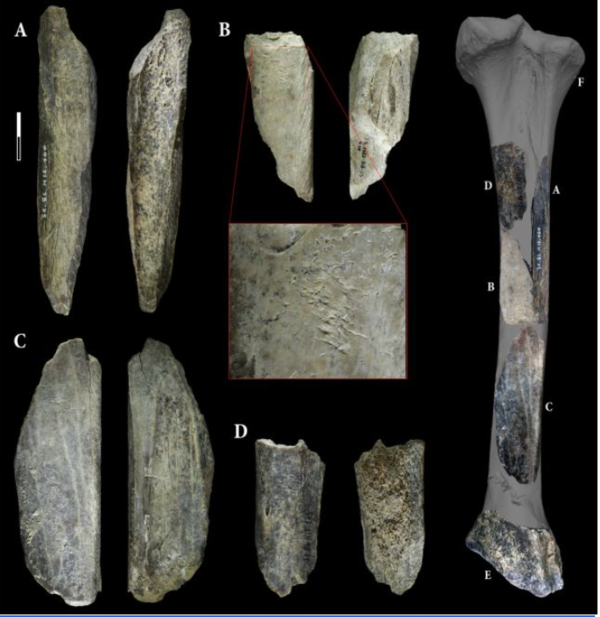ⓒ데일리포스트=이미지 제공/Scientific Reports