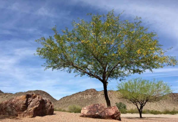 ⓒ데일리포스트=이미지 제공/Pixabay