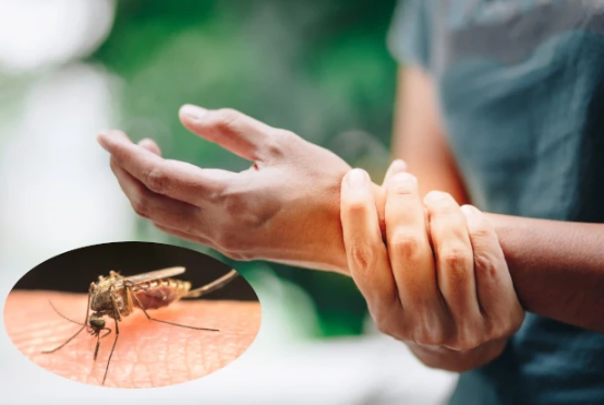 ⓒ데일리포스트=이미지 제공/Flickr