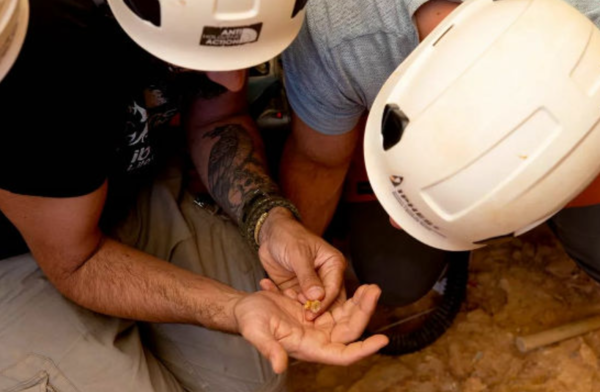 연구팀이 발굴 현장에서 수습한 유골 조각을 들고 관찰하고 있는 모습. 어린아이의 뼈로 확인된 이 화석에는 절단 및 씹힌 자국이 함께 발견됐다. ⓒ데일리포스트=이미지 제공/IPHES-CERCA