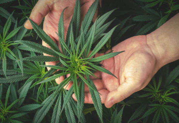 ⓒ데일리포스트=이미지 제공/Pixabay