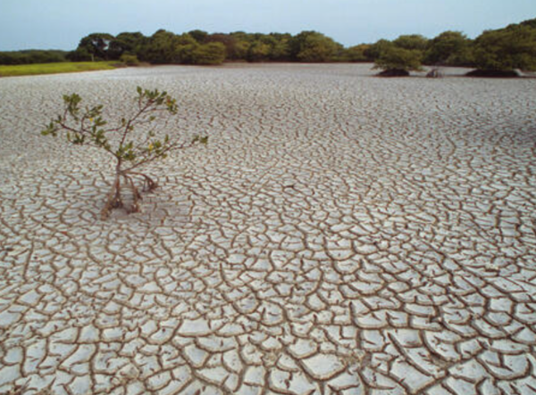 ⓒ데일리포스트=이미지 제공/Flickr