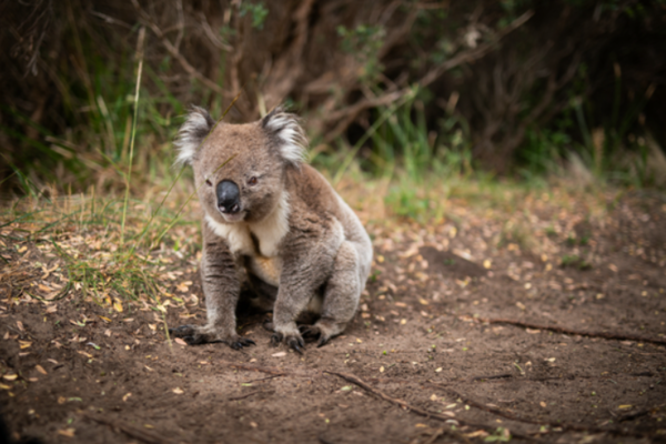 ⓒ데일리포스트=이미지 제공/Flickr