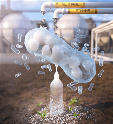 이번 연구성과 모식도 ⓒ데일리포스트=이미지 제공/KAIST