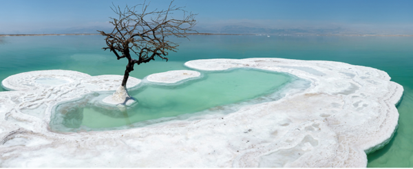 ⓒ데일리포스트=이미지 제공/Unsplash