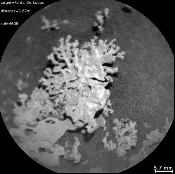 ‘Punta De Lobos’로 명명된 화성 암석 구조물 근접 사진 ⓒNASA/JPL-Caltech/MSSS