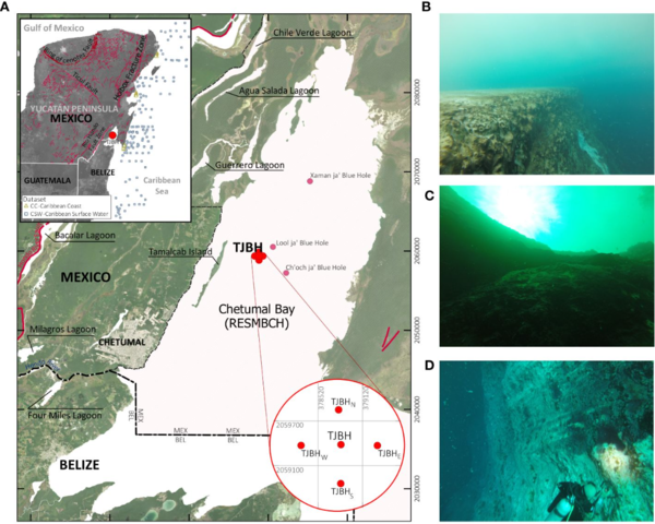 멕시코 치투말만에 위치한 타암 하 블루홀의 위치와 스쿠버 다이빙 탐사에서 촬영한 이미지. ⓒ데일리포스트=이미지 제공/ Frontiers in Marine Science