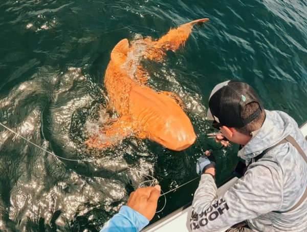 ⓒ데일리포스트=이미지 제공/Parismina Domus Dei(Facebook)