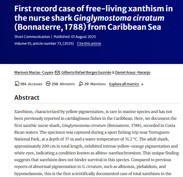 ⓒ데일리포스트=이미지 제공/Marine Biodiversity