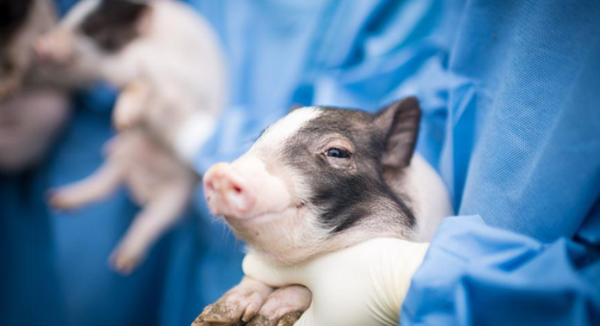 ⓒ데일리포스트=이미지 제공/Unsplash