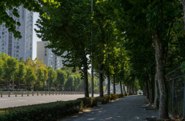 ⓒ데일리포스트=이미지 제공/Pixabay