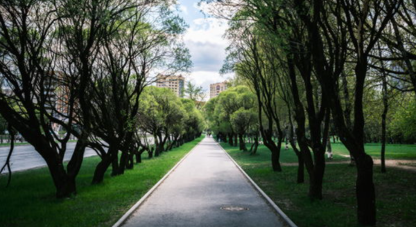 ⓒ데일리포스트=이미지 제공/Unsplash
