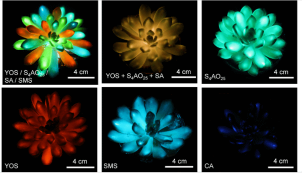  ⓒ데일리포스트=이미지 제공/Matter