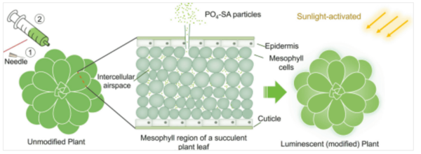  ⓒ데일리포스트=이미지 제공/Matter