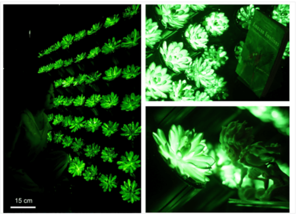  ⓒ데일리포스트=이미지 제공/Matter