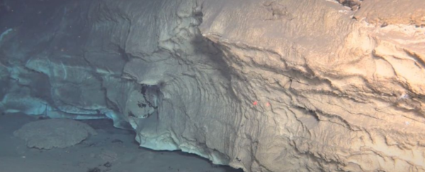  ⓒ데일리포스트=이미지 제공/Laoshan Laboratory