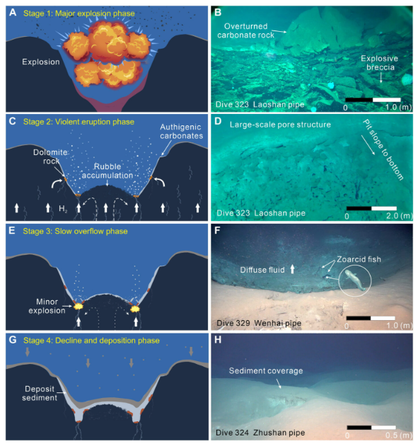  ⓒ데일리포스트=이미지 제공/Science Advances