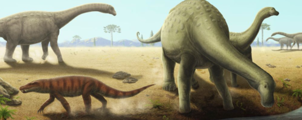 ⓒ데일리포스트=이미지 제공/Pixabay