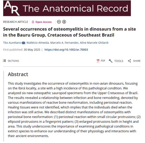 ⓒ데일리포스트=이미지 제공/The Anatomical Record
