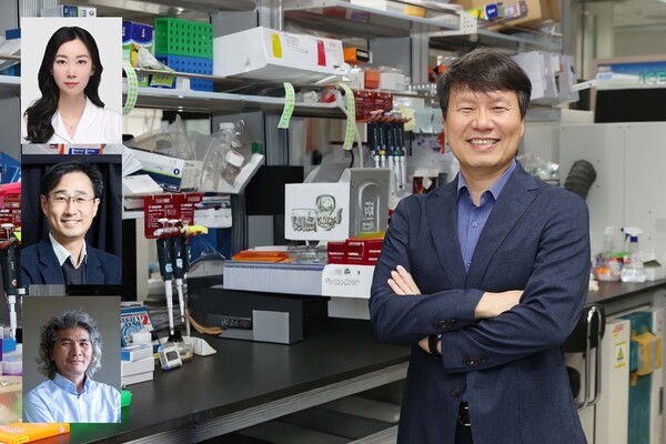 이번 연구를 주도한 허원도(오른쪽) KAIST 생명과학과 석좌교수와 현보배(왼쪽부터 아래방향) 박사후연구원, 김대수 KAIST 뇌인지과학과 교수, 이창준 IBS 인지 및 사회성연구단장. ⓒ데일리포스트=이미지 제공/KAIST