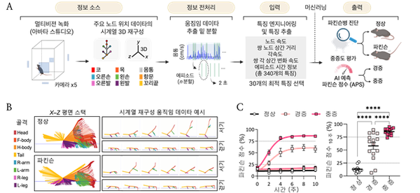 인공지능(AI) 기반 파킨슨병 진단 및 중증도 평가 ⓒ데일리포스트=이미지 제공/KAIST