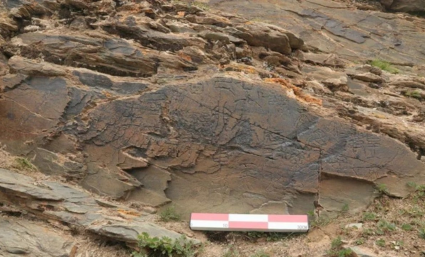 비문이 새겨진 바위의 근접 사진 ⓒ데일리포스트=이미지 제공/중국사회과학원 고고학연구소 연구팀