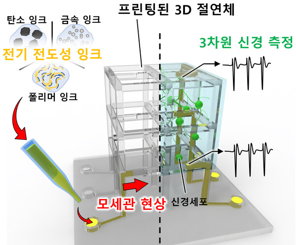 체외배양 3D 신경네트웍 모델용 맞춤형 세포배양 지지체-미세전극칩 일체형 플랫폼 개요도  ⓒ데일리포스트=이미지 제공/KAIST
