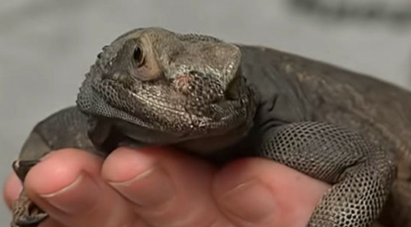  ⓒ데일리포스트=이미지 제공/Museum of Science 유튜브 캡처 