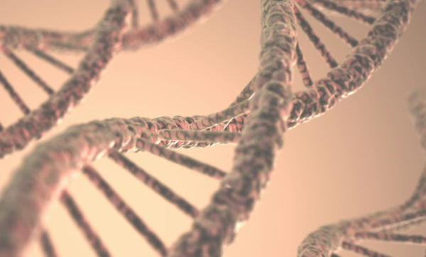 ⓒ데일리포스트=이미지 제공/Unsplash 