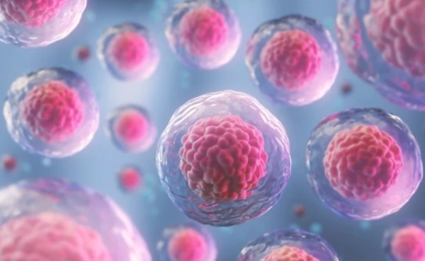 ⓒ데일리포스트=이미지 제공/Unsplash 