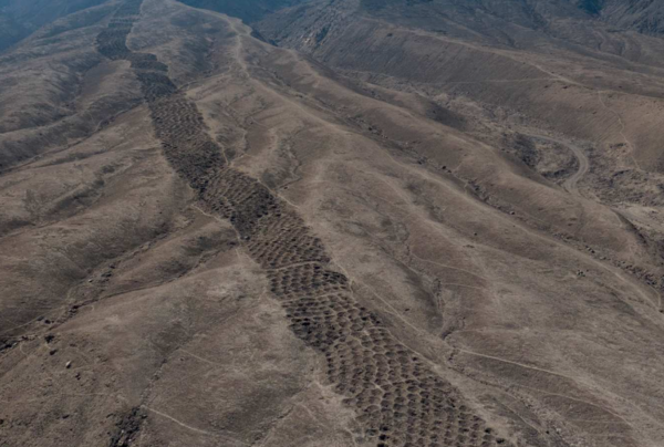 ⓒ데일리포스트=이미지 제공/J.L. Bongers